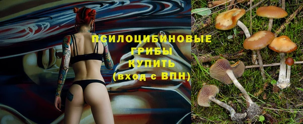 каннабис Алексеевка