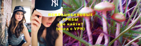 каннабис Алексеевка